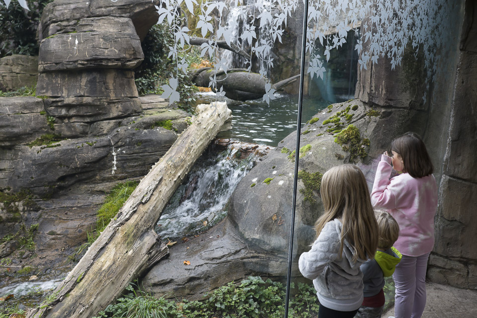 Woodland Park Zoo — photo 10